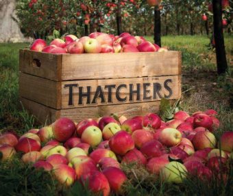 Thatchers appels boomgaard